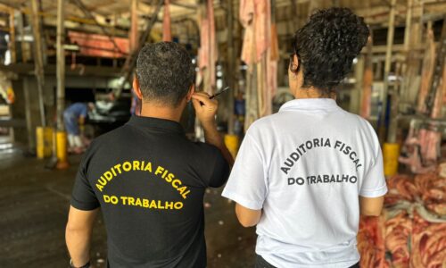 Ministéro do Trabalho apresenta novos Auditores Fiscais do Trabalho que atuarão em Rondonópolis