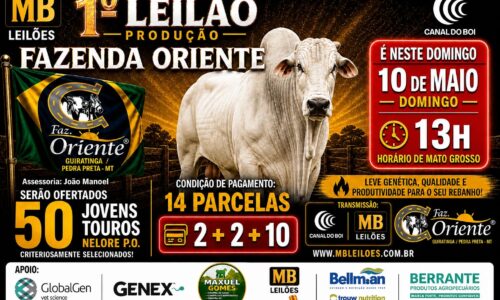 Fábio Barros realiza 1º Leilão de Produção da Fazenda Oriente com oferta de touros Nelore PO